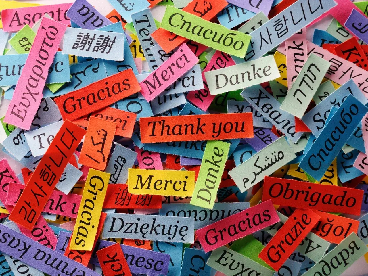Word “Thank You” shown in multiple languages representing language diversity.