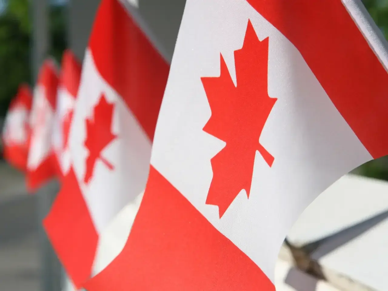 Canadian flags representing Canada’s national identity and languages.