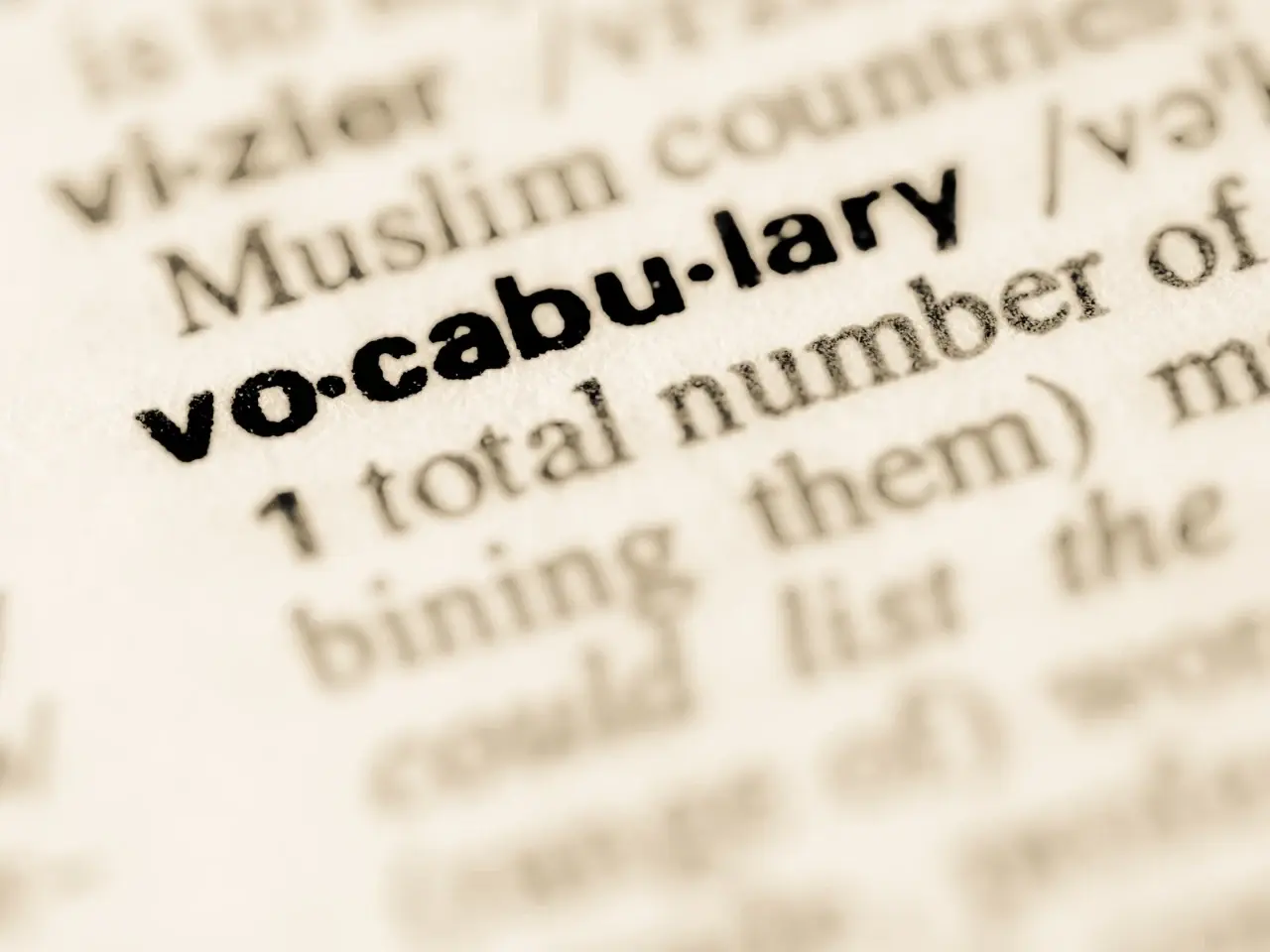 Close-up of a dictionary page with the word “vocabulary” highlighted in bold, symbolizing language and word usage differences.