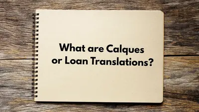 What are Calques or Loan Translations?