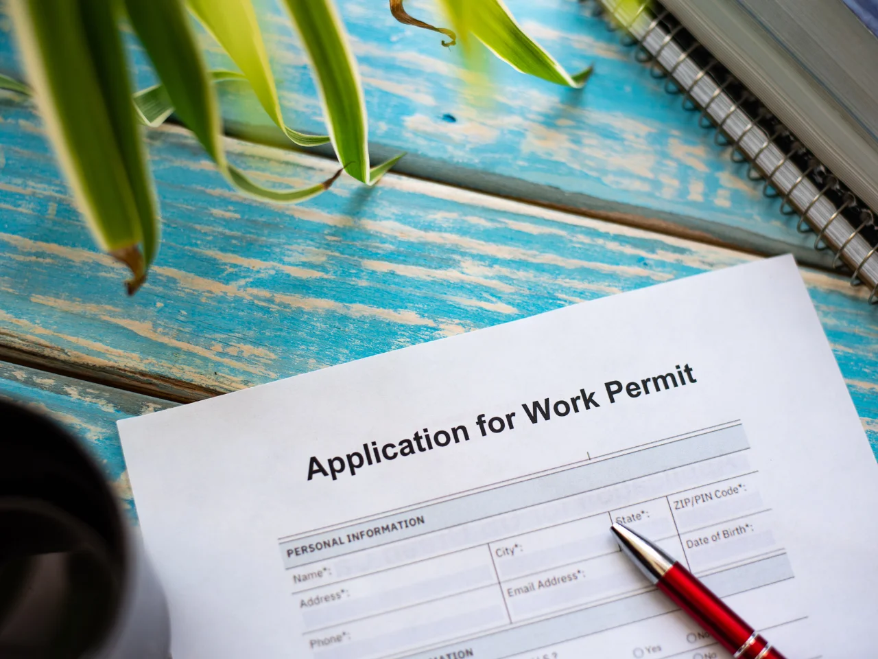 Work permit application form for an entrepreneur seeking to work in Canada.
